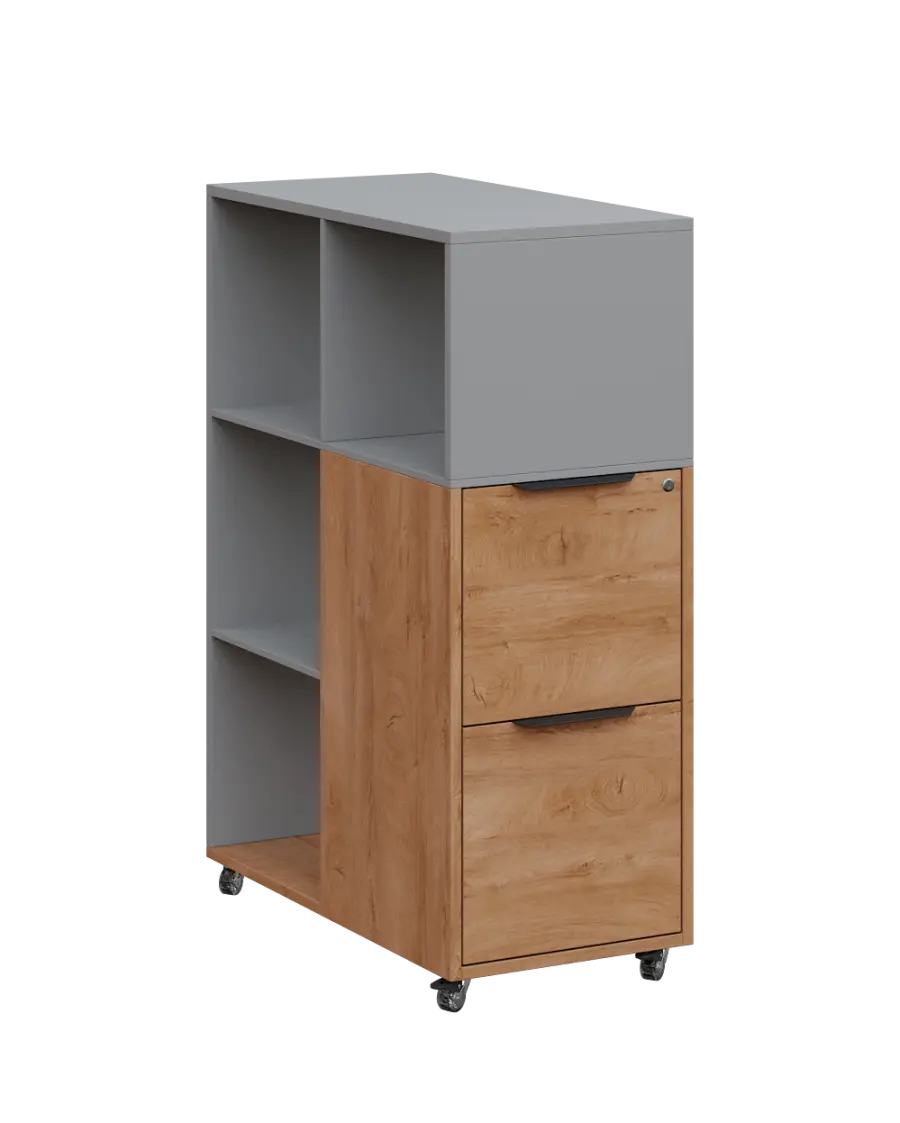 AERO 31 kancelářská skříň, 2-zásuvková/4 niky, 1100x400x800, kolečka, chinchilla šedá/dub klasik