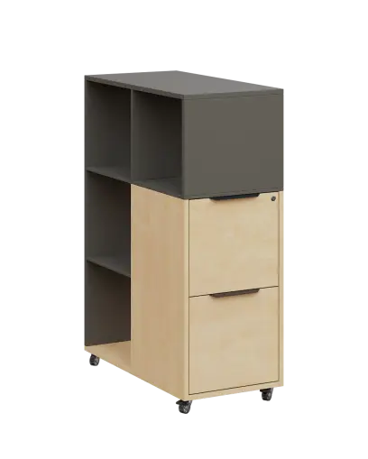 AERO 31 kancelářská skříň, 2-zásuvková/4 niky, 1100x400x800, kolečka, lávově šedá/bříza irská