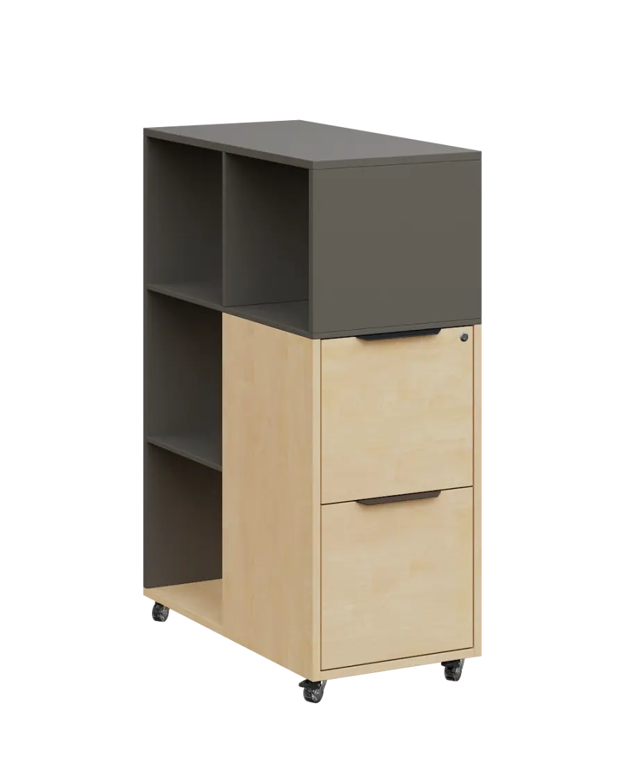 AERO 31 kancelářská skříň, 2-zásuvková/4 niky, 1100x400x800, kolečka, lávově šedá/bříza irská