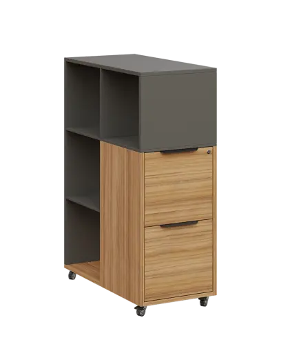 AERO 31 kancelářská skříň, 2-zásuvková/4 niky, 1100x400x800, kolečka, lávově šedá/coco bolo