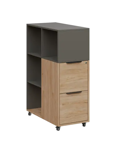 AERO 31 kancelářská skříň, 2-zásuvková/4 niky, 1100x400x800, kolečka, lávově šedá/dub hickory