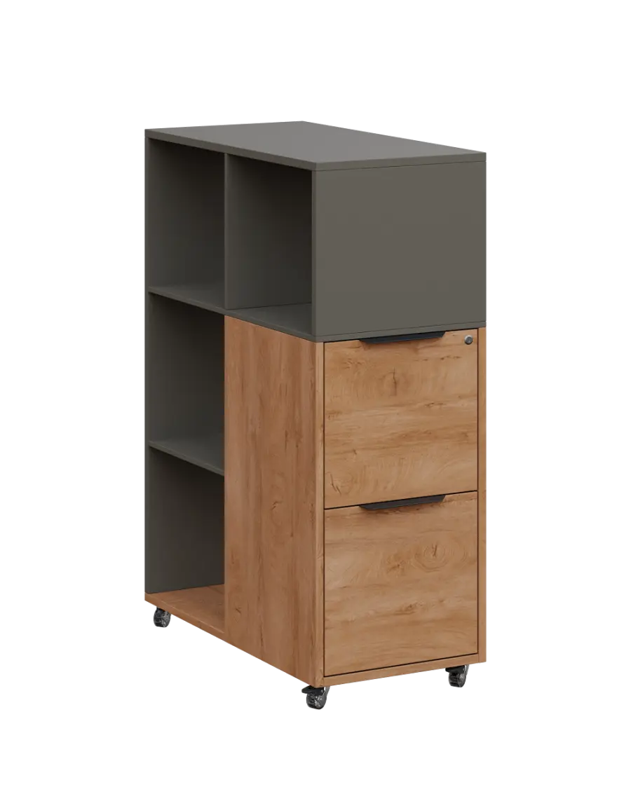 AERO 31 kancelářská skříň, 2-zásuvková/4 niky, 1100x400x800, kolečka, lávově šedá/dub klasik