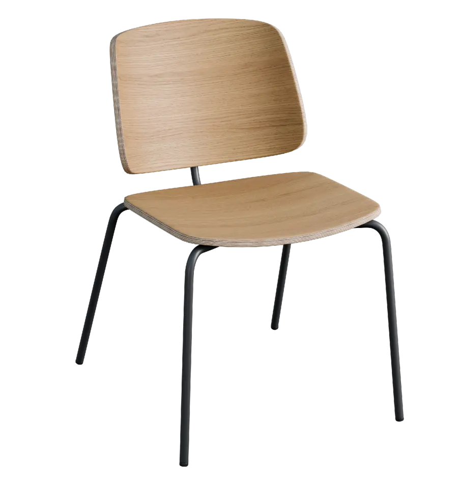 PURITY, židle, kostra černá, dub