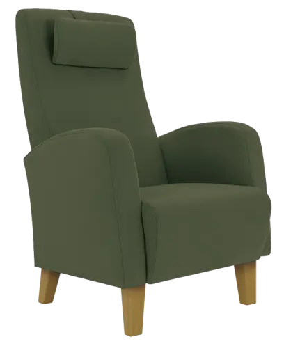 DUBLIN, křeslo, moření přírodní, látka zelená