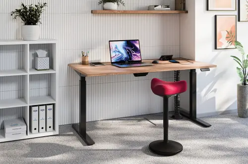 ERGO BALANCE, zdravotní balanční židle, vínová