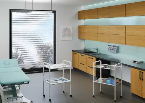 OV - 21 vozík 2-policový, 900 x 620 x 470 mm, lak