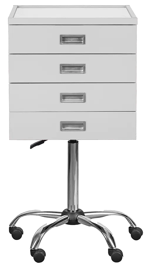 DENTAL N4, asistenční vozík, šedý korpus, čílka bílá