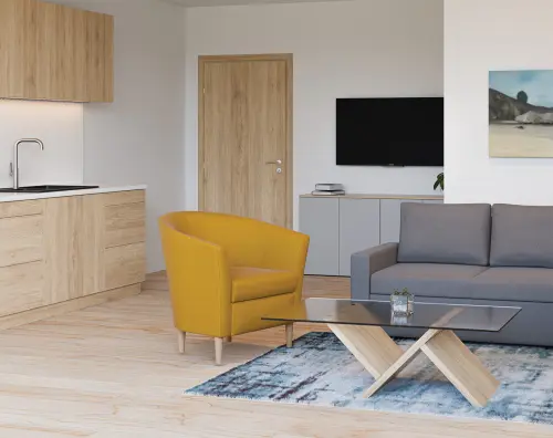 CHARLOTTE 1, křeslo, látka šedá