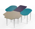 21577915696916-zakladni